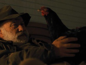 Hen