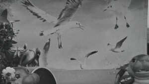 Concorso cortometraggi