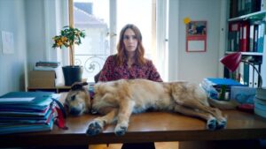 Un cane a processo